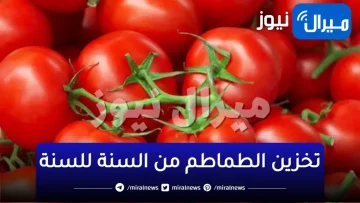 “طريقة خرافية مش هتعمل غيرها” طريقة عبقرية لتخزين الطماطم من السنة للسنة