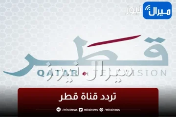 “مجانا” استقبل .. تردد قناة قطر الجديد  Qatar TV  على نايل وعرب سات وهوت بيرد بعد التحديث