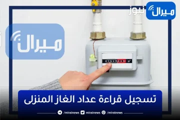 شغال| رابط تسجيل قراءة عداد الغاز المنزلى عبر موقع “شركة بتروتريد”