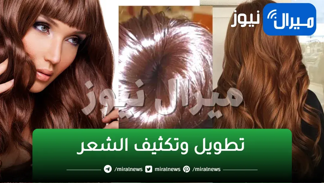 خلطة زيوت طبيعية فعالة لتطويل وتكثيف الشعر