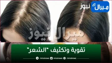 قبل العيد.. وصفة جبارة لتقوية وتكثيف “الشعر” وتعمل على إنبات الفراغات في وقت قصير
