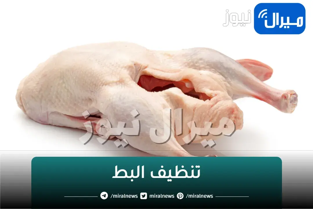 هتبقي فله.. تنظيف البط والتخلص من الريش والزفارة في ثواني فكرة عبقرية مش هتتعبك كتير