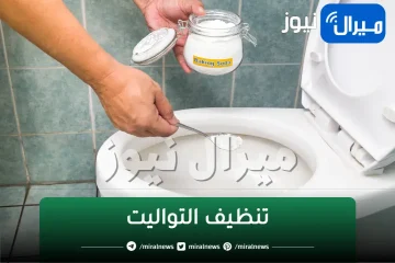 هيرجع جديد وناصع البياض.. تنظيف التواليت والحمام بالكامل بالكامل من الاصفرار والجير والتكلسات فى غمضة عين بفكرة عبقرية جربوها