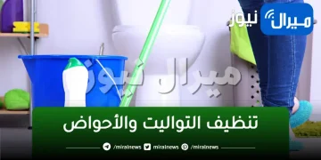 مكعب سحري لتنظيف التواليت والأحواض من الأصفرار والبقع الصعبة بدون دعك ومجهود خلال دقائق