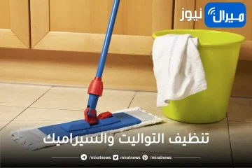 جربي ومش هتندمي.. خلطة رهيبة لتنظيف التواليت والسيراميك في دقائق معدودة