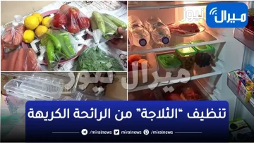 بمكون عمره ماكان هيخطر على بالك!!.. تنظيف “الثلاجة” من الرائحة الكريهة.. هتبقى ريحتها زي الفل