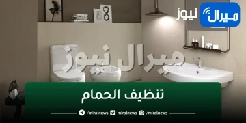 هيفضل يلمع شهور..تنظيف الحمام بالكامل وإزالة الجير والاصفرار من الحوائط والتواليت وتوفير غير عادى