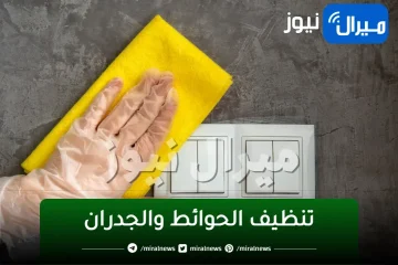 ملعقتي الجهنمية لتنظيف الحوائط والجدران وإزالة الشخابيط والأوساخ بمسحة واحدة