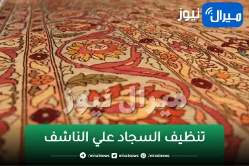 ملعقة جهنمية لتنظيف السجاد على الناشف وإزالة أصعب البقع والأوساخ بدون أي مجهود