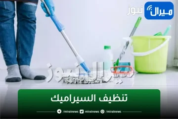 ملعقة جهنمية لتنظيف سيراميك المطبخ والحمام وإزالة الدهون والأوساخ الصعبة بدون تعب