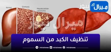 المشروب الجبار لتنظيف الجسم من السموم..نظف كبدك فورا في 3 ليالي فقط وقوي المناعة وطرد السموم فورا