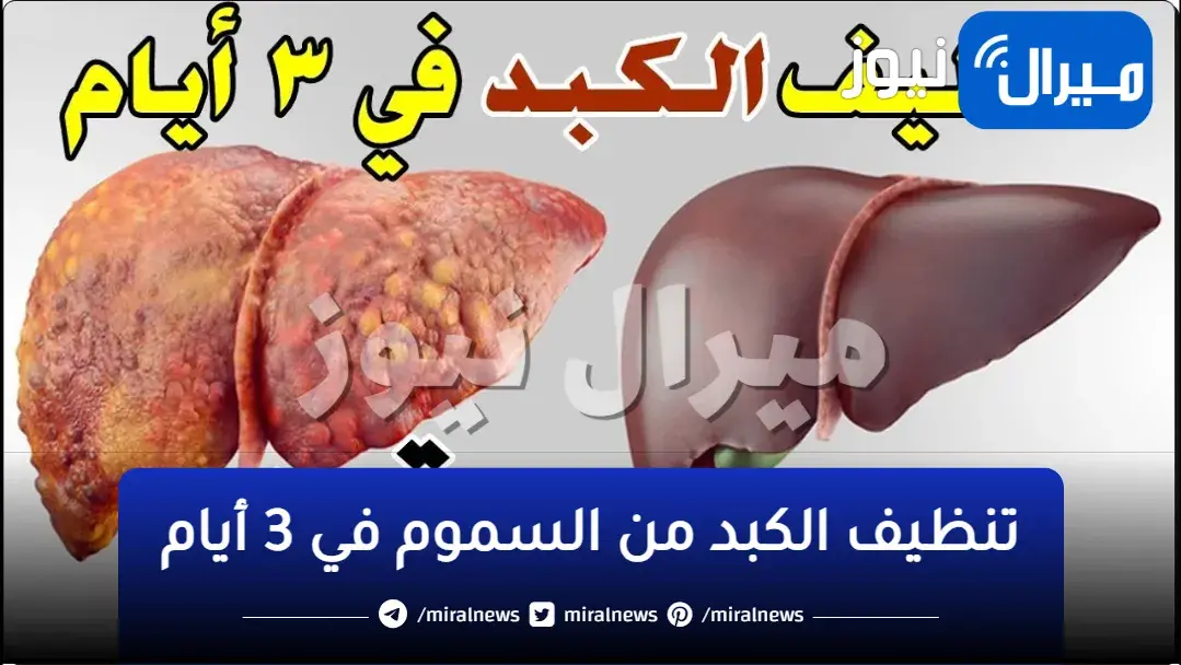 فقط في 3 أيام مع المشروب السحري… تجديد خلايا الكبد وتنظيفه وكمان طرد السموم بشكل نهائي