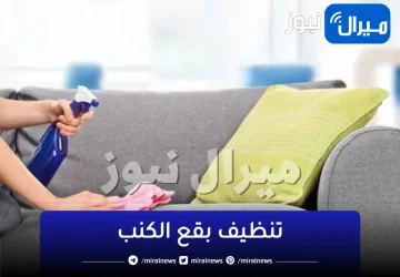 خلطات طبيعية لتنظيف بقع الكنب بدون مجهود بمكونات منزلية