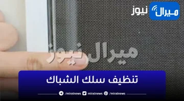 هيرجع جديد ولامع تانى.. تنظيف سلك شباك المطبخ من اصعب الدهون  بمكون خطير جدا