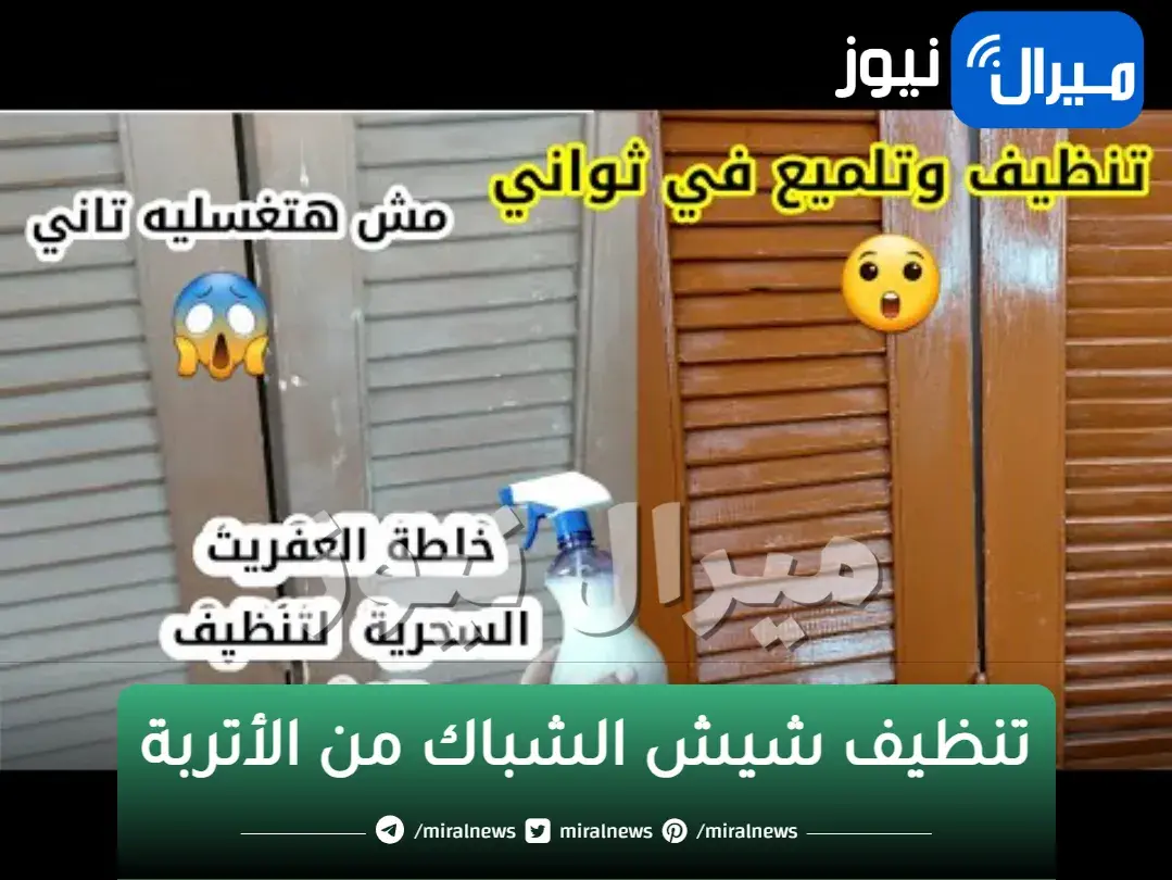 “بدون عناء” … تعرف على الخطة الجهنمية لتنظيف شيش الشباك من الأتربة