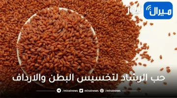 خلطة صاروخية.. حب الرشاد لتخسيس البطن والارداف والاجناب والتخلص من دهون الكرش المزعجة