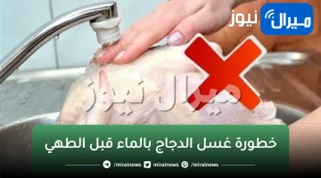 الخبراء يحذرون من خطورة غسل الدجاج بالماء قبل الطهي يسبب أمراض كثيرة تجنبيها فورا