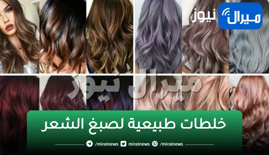 ودعي الكوافير.. خلطات طبيعية لصبغ الشعر وتقويته هتتفاجئ بنتائجها