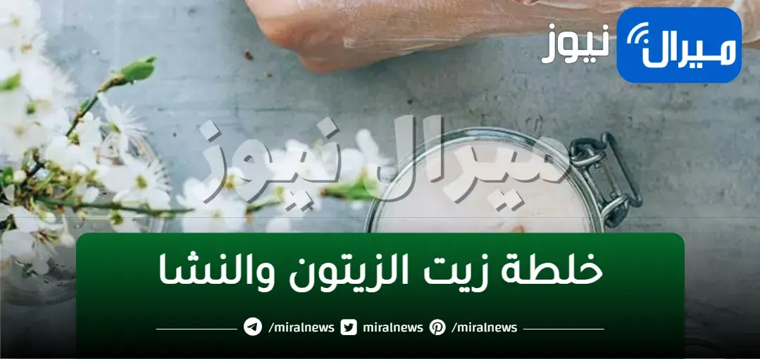 خلطة زيت الزيتون والنشا “حققي حلمك حتى لو سنك 60 عام ستبهرك النتيجة من أول استعمال