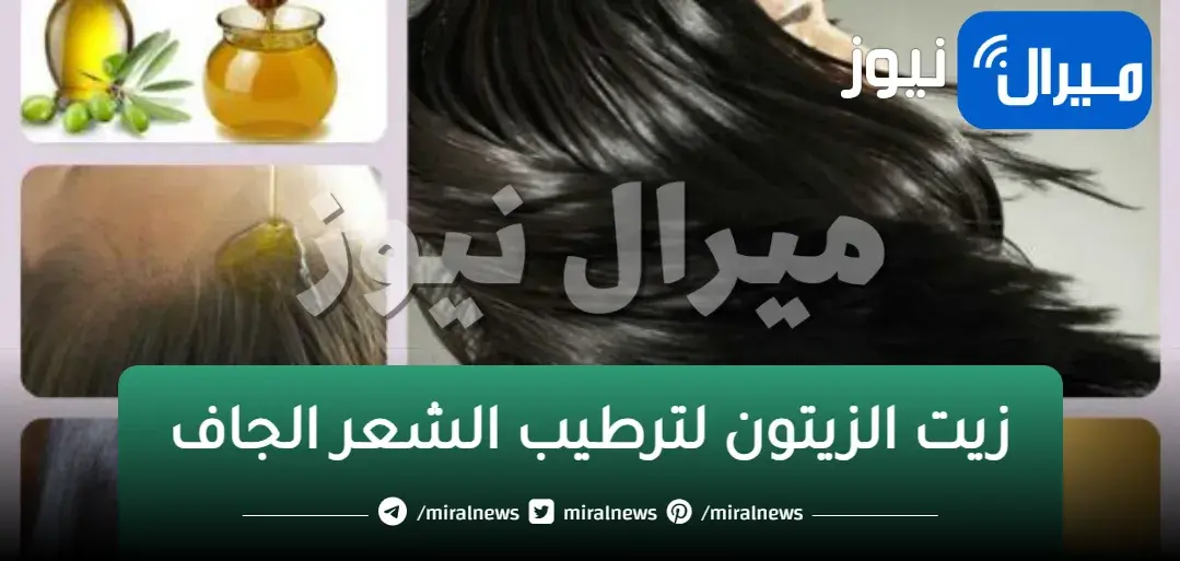 لو شعرك ناشف الوصفات دي تخصك.. وصفة طبيعية لترطيب الشعر الجاف