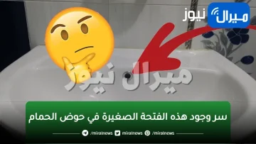 العمر ضاع واحنا منعرفش أهميتها وخطورتها .. ما هو سر وجود هذه الفتحة الصغيرة في حوض الحمام