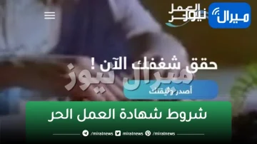 شروط الحصول علي شهادة وثيقة العمل الحر