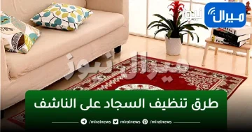 طرق تنظيف السجاد على الناشف من البقع بمكونات طبيعية وبأقل مجهود