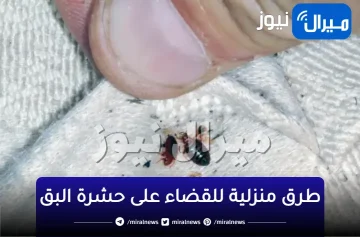 انسي مشكلة البق… جبنالك طرق منزلية جبارة وفعالة في القضاء عليه من غير مبيدات ولا مواد كيماوية