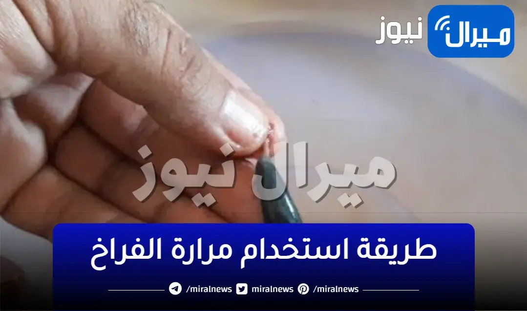 اوعى ترميها.. مرارة الفراخ كنز هتندمى انك كنتى بترميها تعالى اقولك استخداماتها الجبارة سبحان الله