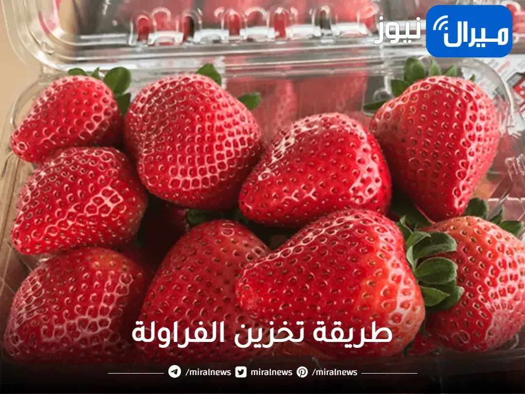 بدون اضافات.. طريقة تخزين الفراولة لأطول فترة دون تلف ولا تغير في طعمها