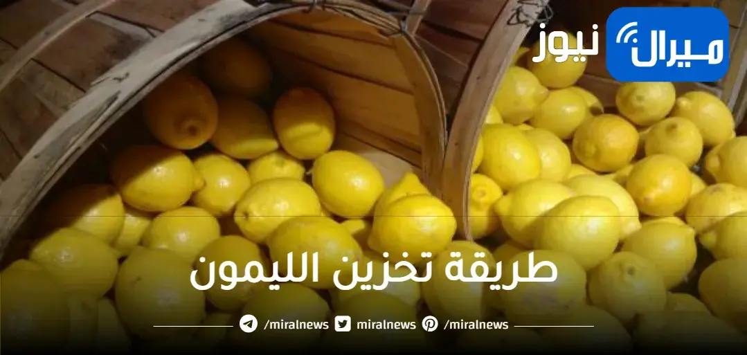 باسرار التجار.. تخزين الليمون لمدة سنة بدون تغيير فى اللون او الطعم وبنفس جودته وهيفضل طازة وكانك لسه شرياه