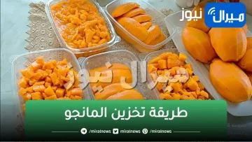 “دا الوقت المناسب للتخزين”!!..خطأ كارثي عند تخزين المانجو بهذه الطريقة تعرفي علي أفضل الطرق لتخزينها