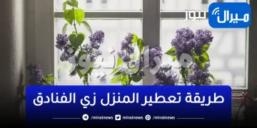 خليه زي الفنادق وروقي عليه.. 10 حيل منزلية ستجعل رائحة منزلك أشبه بالفنادق الفخمة