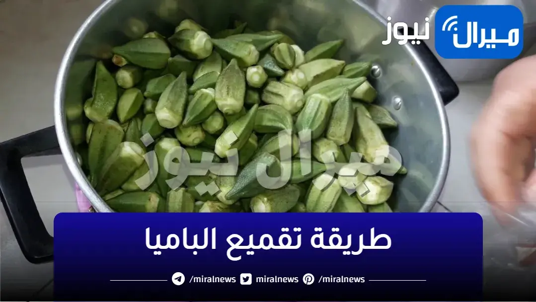 اختراع جهنمي!!.. من النهاردة مفيش تضييع وقت في تقميع الباميا.. بسرعة الصاروخ وبدون سكين وتحدي!