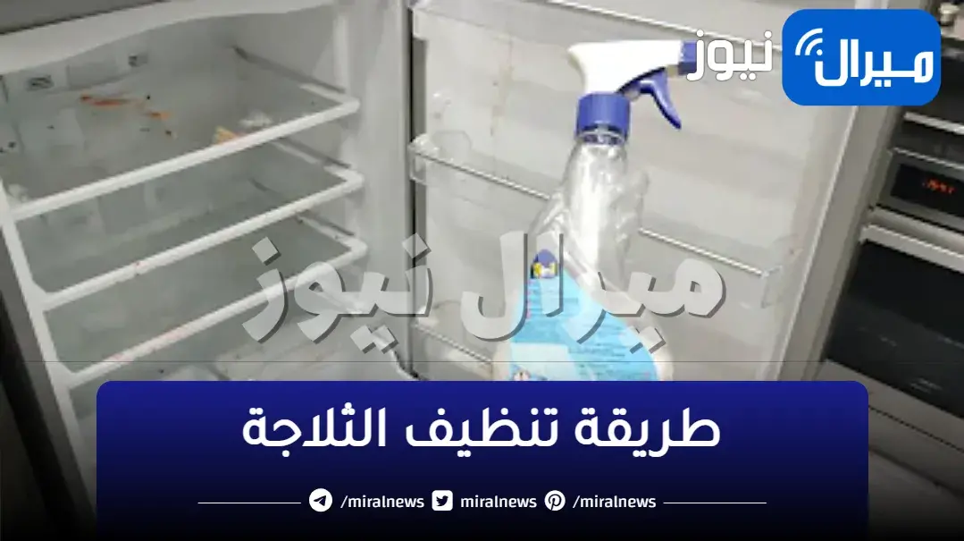 هترجع جديدة لانج.. خلطة سحرية لتنظيف الثلاجه بالكامل وإزالة البقع والرائحة الكريهة في ثوانى