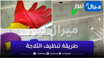 طريقة عبقرية لتنظيف ” الثلاجة ” وبمكونات بسيطة للغاية .. هتندمي لو ما جربتيهاش