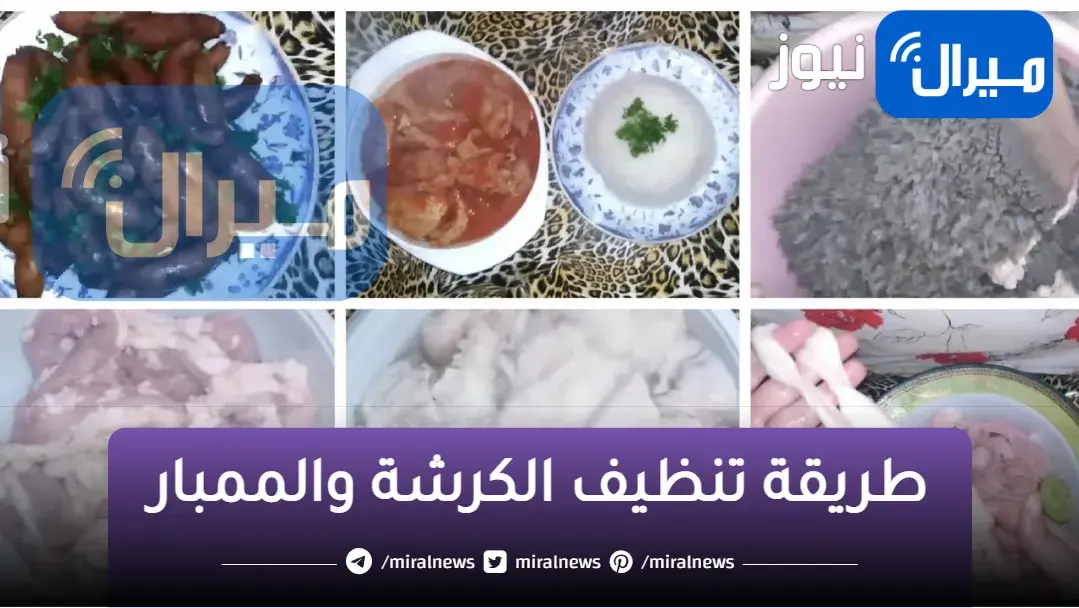 يا محلا الكرشه ويا أصعب تنظيفها… من النهاردة مش هتعاني من تنظيف الكرشه والممبار مع المكون الجبار