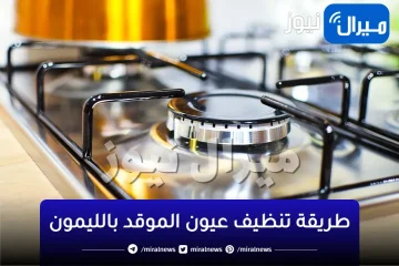 امسح الموقد بالليمون وقم بتنظيف انسداد الموقد دون إصابة