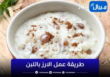 الرز بلبن بالكريم شانتيه طعم كريمي بوش مكرمش|زي المالكي وبلبن