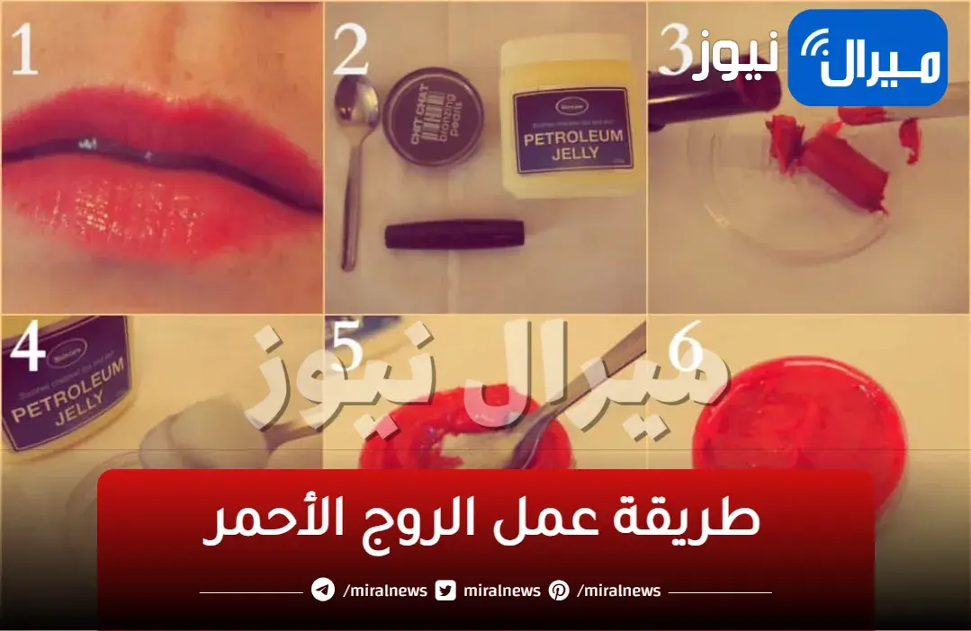 طريقة عمل الروج الأحمر بالفازلين بنفس درجات ألوان احمر الشفاه من ميبلين و MAC