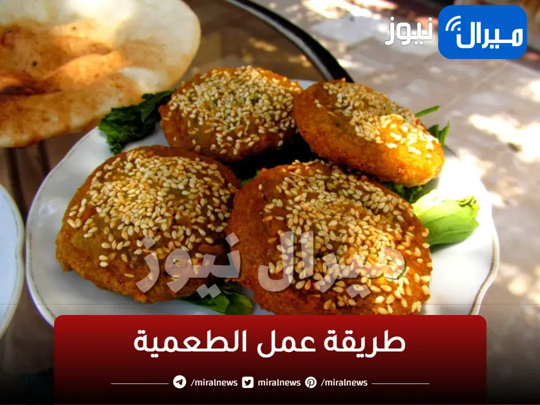 أسرار نجاح عجينة الطعمية أو الفلافل هشه ومقرمشة بطريقة سهلة وبسيطه طعم وريحة لا يقاوم
