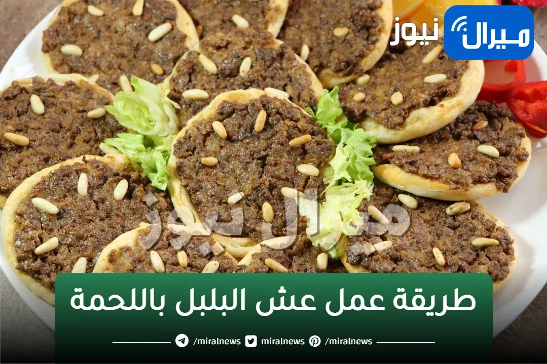 خطوات عمل عش البلبل باللحمة الشهية بكل سهولة