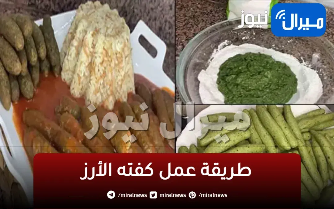 طريقة عمل كفته الأرز في المنزل الكفته الفلاحي
