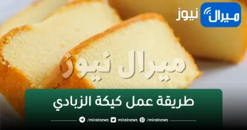 أسهل طريقة لعمل كيكة الزبادي الهشة خفيفة وبمكونات بسيطة
