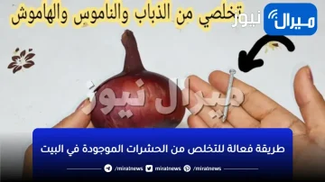 ببصلة واحدة ومسمار تخلصي تماماً من النمل والناموس والصراصير.. وصفة سحرية لا تخطر على بال العفريت