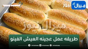 طريقه عمل عجينه العيش الفينو في البيت بمكونات بسيطة ومثل الجاهزة بالمخابز