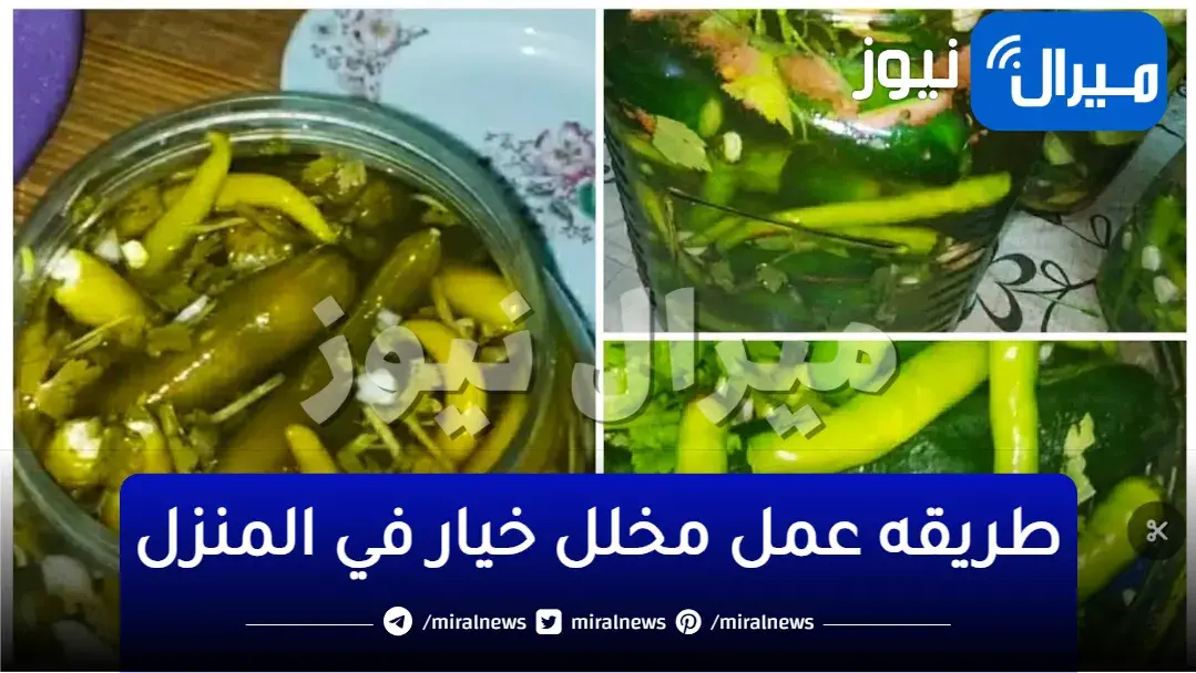 ’’إنسي أي طريقة قبل كدة’’..أفضل طريقة لعمل مخلل الخيار المنزلي..ويدوم فترة طويلة