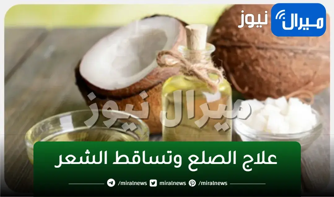 علاج الصلع وتساقط الشعر بالزيوت الطبيعية فقط