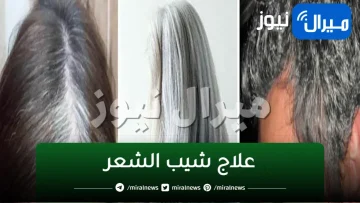 تعرف الان على علاج شيب الشعر بالأعشاب الطبيعية بطرق بسيطة وسحرية .. وصفات مجربة