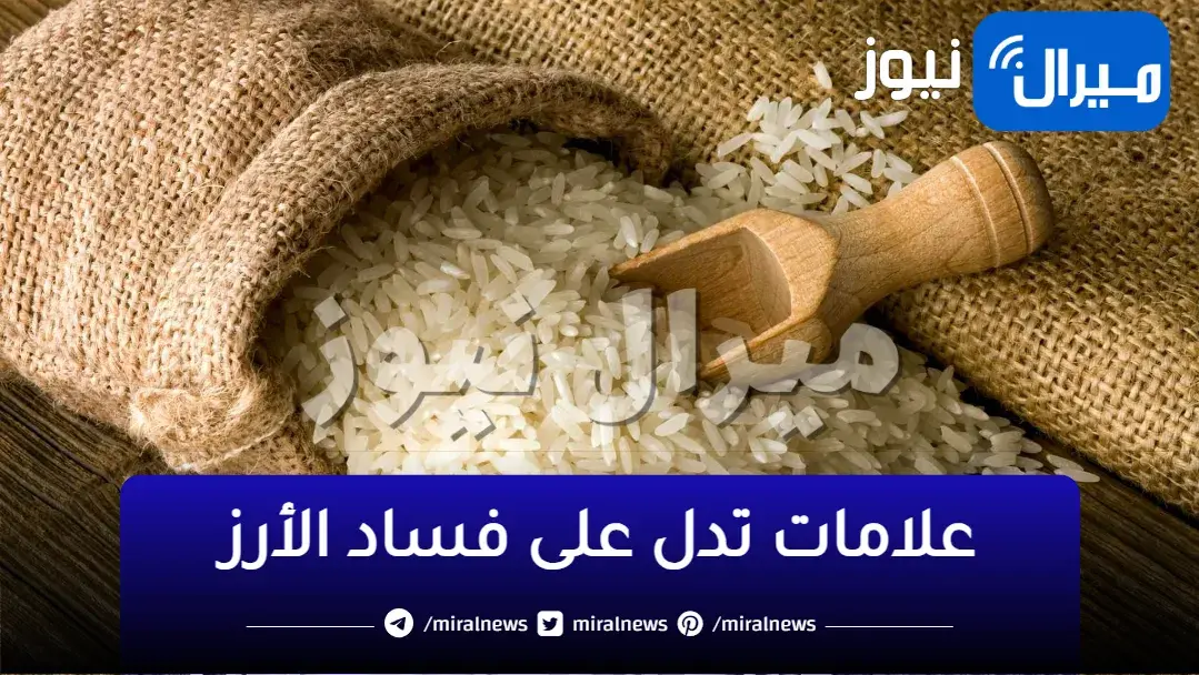 انتبه .. هل يجب التخلص من الأرز عند ظهور السوس بداخله ؟